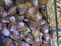 -青蓬蒸汽海鲜·深圳老字号·团建聚会(壹方城店)