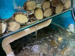 -蟹谢蒸鲜自助餐厅
