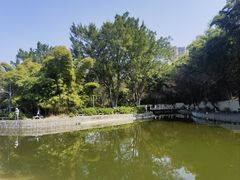 -攀枝花公园