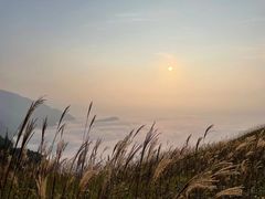 -萍乡武功山风景名胜区