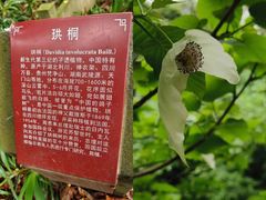 -杭州植物园