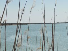 -天津东丽湖风景区