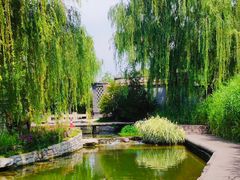 -春风习习