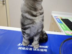 -瑞鹏宠物医院·骨外科·心肾科·肿瘤科(九亭店)