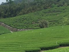 -优游吧斯邹族文化部落