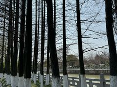 -范蠡湖公园
