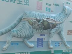 -芭比堂动物医院(广州爱宠下渡路分院)