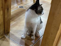 -华兴街自力面店