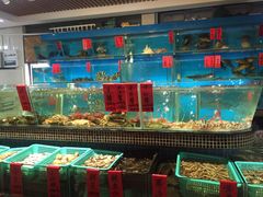 水产区-海大大蒸汽海鲜餐厅·粤菜·特色小炒(欢乐颂店)