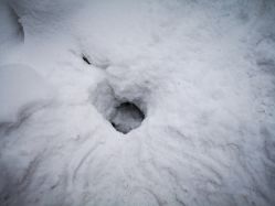 -大秃顶子山