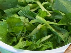 -菌极鲜野生菌火锅店(阳明祠店)
