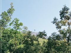 -深圳仙湖植物园