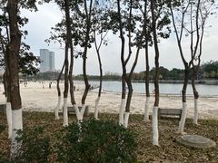 -滨湖塘西河公园