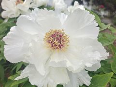 -玄武湖景区-情侣园游乐场