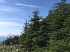 -白草畔自然风景区