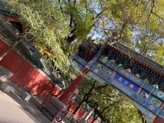 -北京国子监胡同