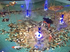 大堂-水晶之星洗浴温泉汗蒸