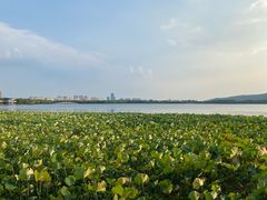 -石湖景区