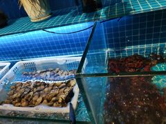-罗马假日海鲜自助餐厅(星湖广场店)
