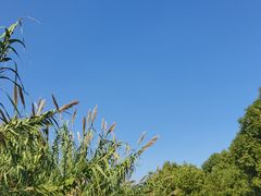 -沙家浜风景区