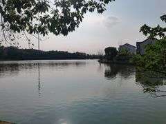 -同里国家湿地公园