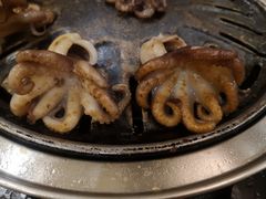 梅花章鱼-九田家黑牛烤肉料理(石路天虹店)