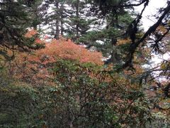 -峨眉山风景名胜区