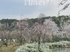 -东湖磨山景区