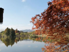 -浙江农林大学(东湖校区)
