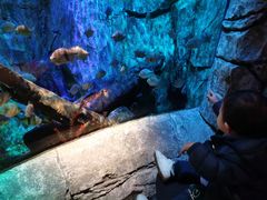 -沈阳海洋探索中心