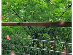 -西湖风景区-江洋畈生态公园
