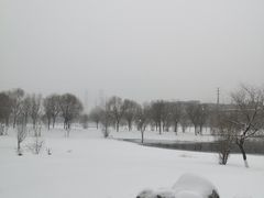 -门城湖公园