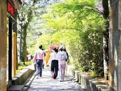 -庐山风景区花径公园