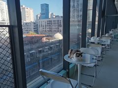 -怪兽屋·羊驼·猫咖·狗咖(俊华广场店)