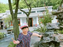 -宝界山林公园
