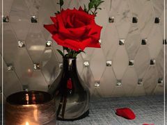 -弦月窗LUNETTE BY AMANDA(复兴路店)