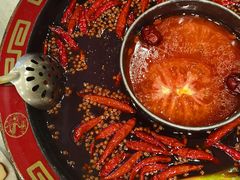 鸳鸯锅-骉骉老火锅(铁像寺路店)
