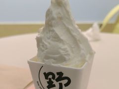 -野人先生现做冰淇淋(北京环宇荟店)