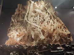-长江文明馆