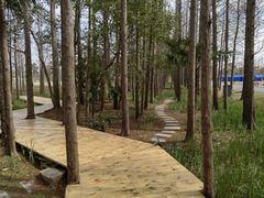 -上海长兴岛郊野公园