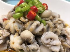 海鲜捞拌-添福来墨鱼饺子 · 海鲜东北菜(大连星海·黄浦路店)