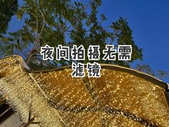 -Apple零售店(深圳益田假日广场店)
