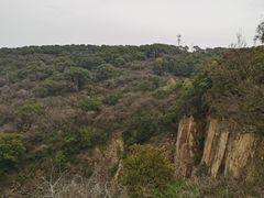 -平湖九龙山旅游度假区