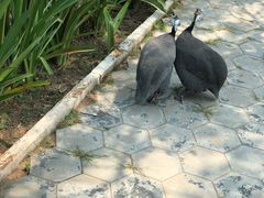 -吐斯廉屠杀博物馆