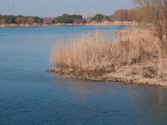 -苏州太湖国家湿地公园