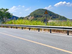 -长沙黑麋峰国家森林公园