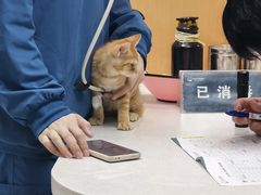 -联合动物医院(光谷诊疗中心)
