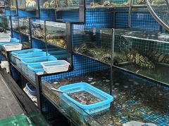 -老郑海鲜楼(天桥店)