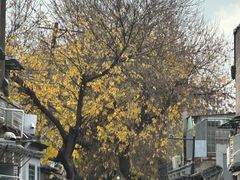 -曲廊院(东四十一条店)