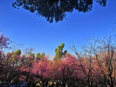 -昆明动物园